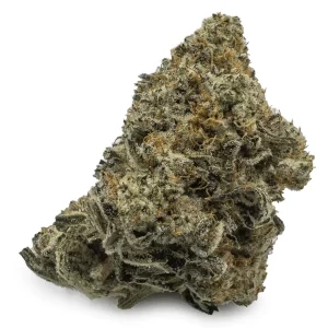 biscotti cannabis strain uk